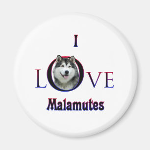 Alaskan Malamute I Love Magnet