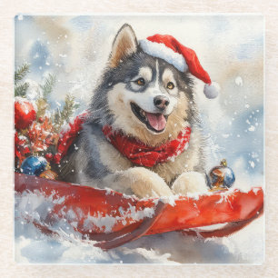 Alaskan Malamute in Sledge Let it Snow Christmas Glass Coaster