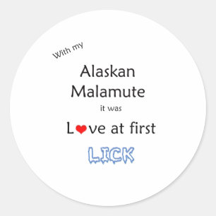 Alaskan Malamute Lick Design Classic Round Sticker