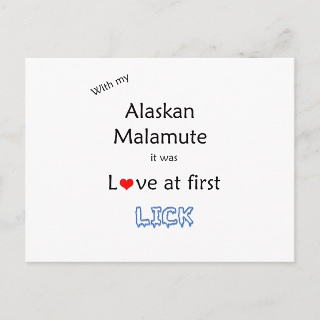 Alaskan Malamute Lick Design Postcard (Front)