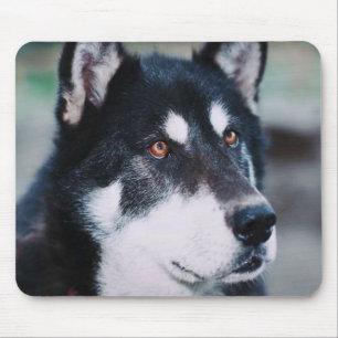 Alaskan Malamute Mouse Mat