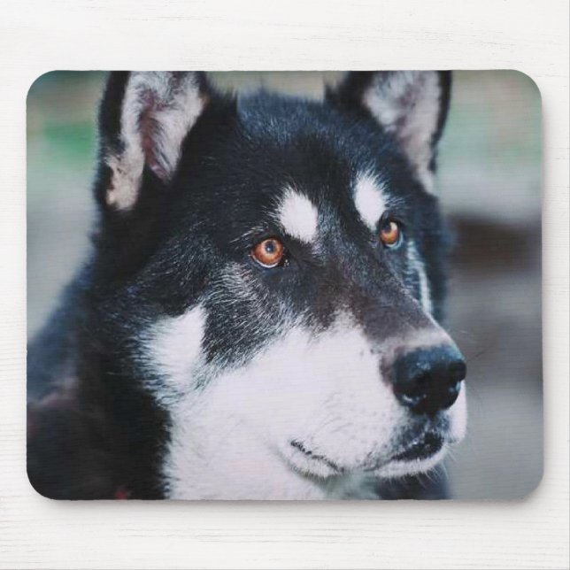 Alaskan Malamute Mouse Mat (Front)