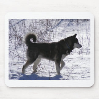 Alaskan Malamute Mouse Mat