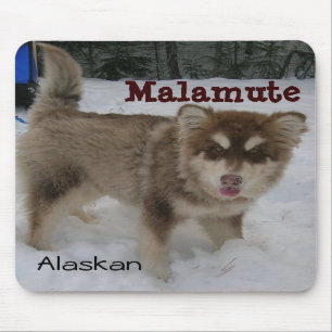 Alaskan Malamute Mouse Pad