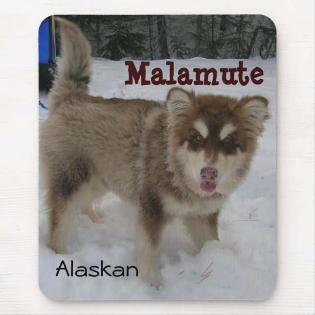 Alaskan Malamute Mouse Pad (Front)