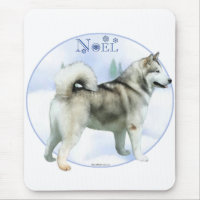 Alaskan Malamute Noel