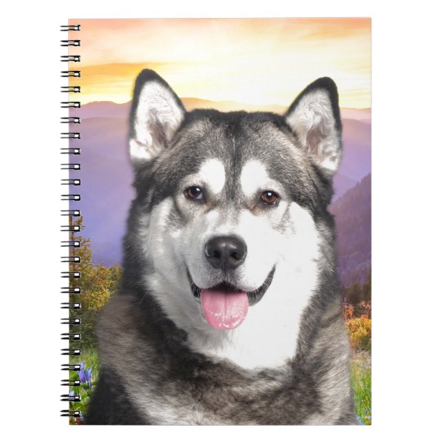 Alaskan Malamute Notebook (Front)