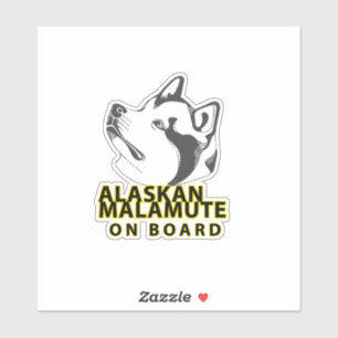 Alaskan Malamute On Board
