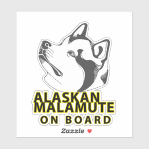 Alaskan Malamute On Board
