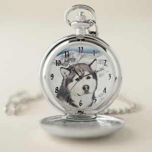 Alaskan Malamute Painting - Cute Original Dog Art Pocket Watch