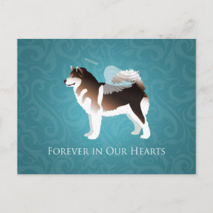 Alaskan Malamute Pet Loss Design Postcard
