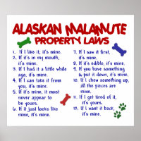 ALASKAN MALAMUTE PL2