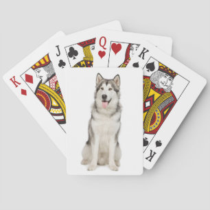Alaskan Malamute Playing Cards
