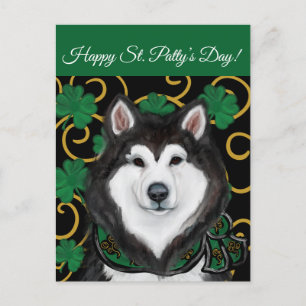 Alaskan Malamute Postcard