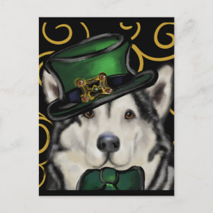 Alaskan Malamute Postcard