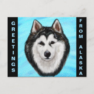 ALASKAN MALAMUTE POSTCARD