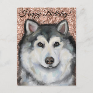 Alaskan Malamute Postcard