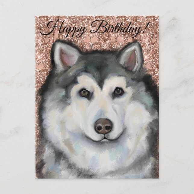 Alaskan Malamute  Postcard (Front)