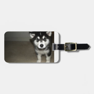 alaskan malamute pup 3.png luggage tag