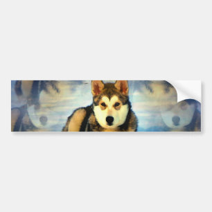 Alaskan Malamute Puppies Bumper Sticker
