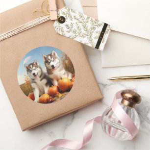 Alaskan Malamute Puppy Autumn Delight Pumpkin Classic Round Sticker