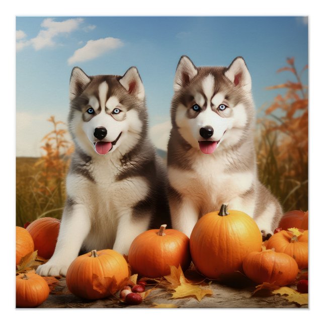 Alaskan Malamute Puppy Autumn Delight Pumpkin Poster (Front)