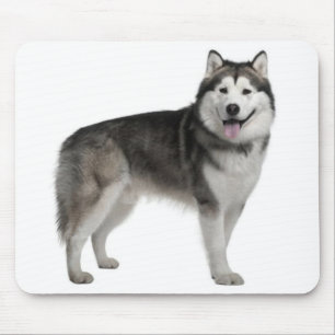 Alaskan Malamute Puppy Dog Mousepad