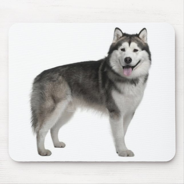 Alaskan Malamute Puppy Dog Mousepad (Front)