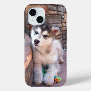 Alaskan Malamute Puppy Head Tilt Photograph iPhone 15 Case