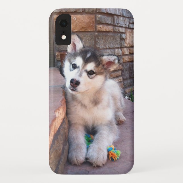 Alaskan Malamute Puppy Head Tilt Photograph Case-Mate iPhone Case (Back)