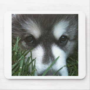 Alaskan Malamute Puppy Mouse Mat