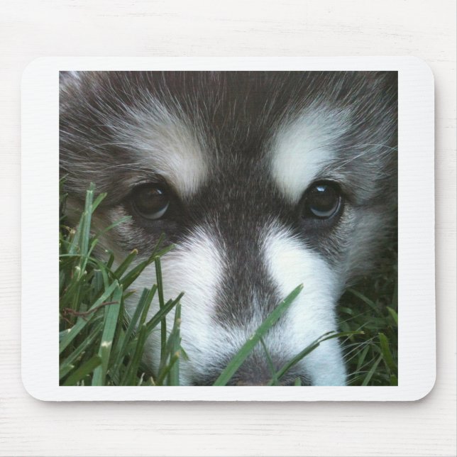 Alaskan Malamute Puppy Mouse Mat (Front)