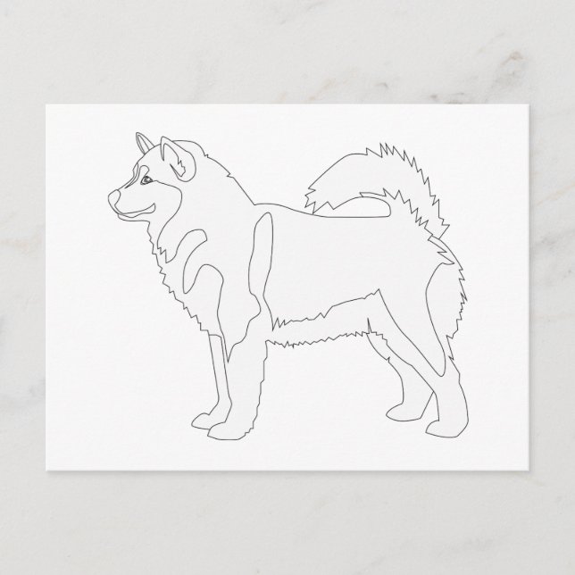Alaskan Malamute Ready to Colour and Customise Postcard (Front)