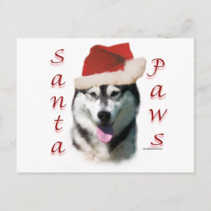 Alaskan Malamute Santa Paws Holiday Postcard