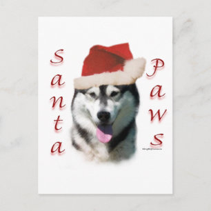 Alaskan Malamute Santa Paws Holiday Postcard