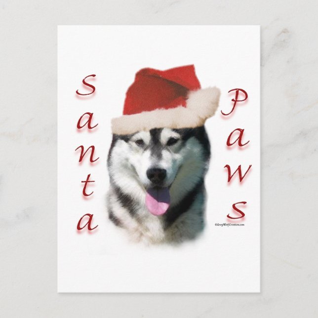 Alaskan Malamute Santa Paws Holiday Postcard (Front)