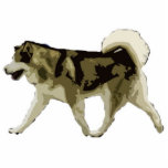 Alaskan Malamute Standing Photo Sculpture<br><div class="desc">Alaskan Malamute photo sculpture</div>