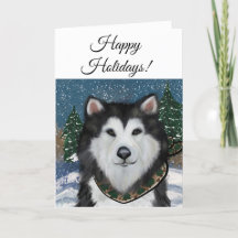 Alaskan Malamute