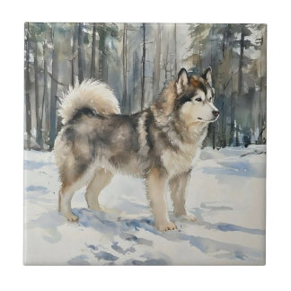 Alaskan Malamute Tile