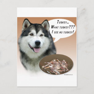 Alaskan Malamute Turkey Postcard