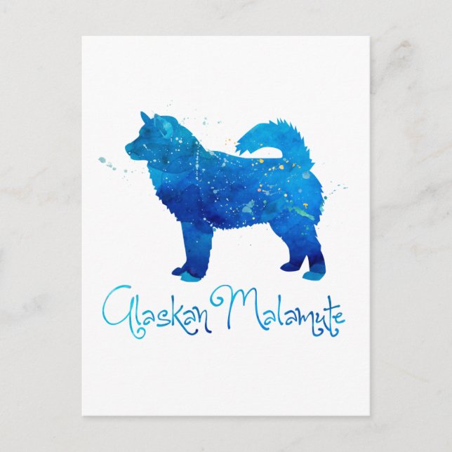 Alaskan Malamute Watercolor Postcard (Front)