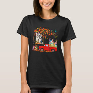 Alaskan Malamute Wearing Bunny Ear Red Truck With T-Shirt
