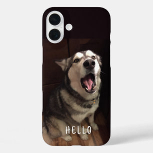 Alaskan Malamute With Open Mouth Photograph iPhone 16 Plus Case