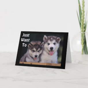 "ALASKAN MALAMUTES BIRTHDAY WISHES" CARD