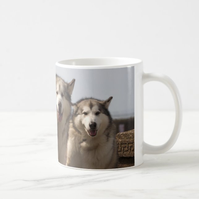 Alaskan Malamutes Coffee Mug (Right)