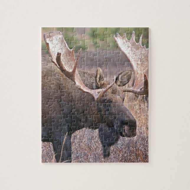 Alaskan Moose Jigsaw Puzzle (Vertical)