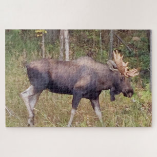 Alaskan Moose w/Antlers Photo Designed Puzzle