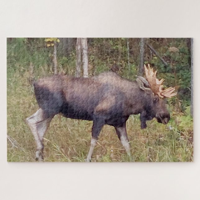 Alaskan Moose w/Antlers Photo Designed Puzzle (Horizontal)