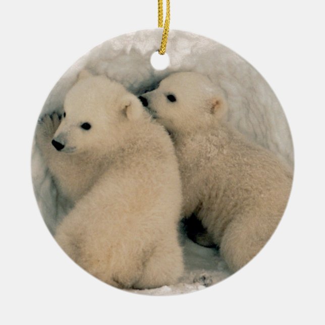 Alaskan Polar Bear Cubs Ceramic Tree Decoration (Front)