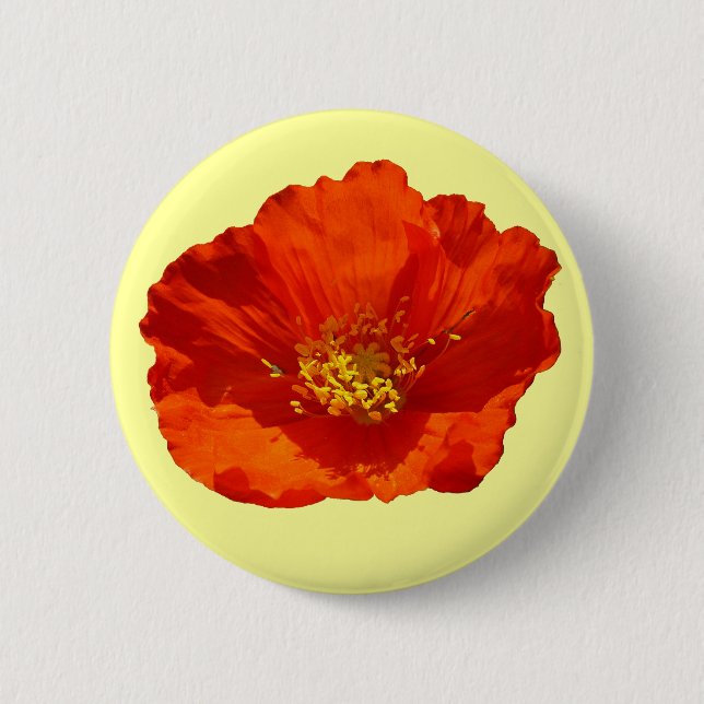 Alaskan Red Poppy Colourful Flower 6 Cm Round Badge (Front)